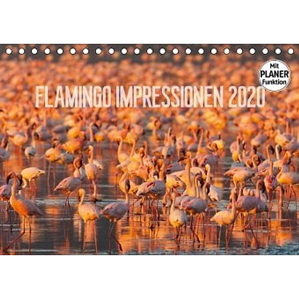 Flamingo Impressionen 2020 (Tischkalender 2020 DIN A5 quer), Ingo Gerlach