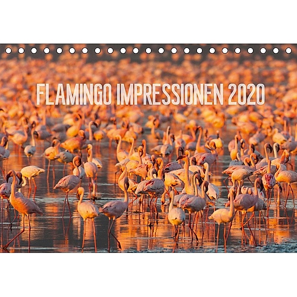 Flamingo Impressionen 2020 (Tischkalender 2020 DIN A5 quer), Ingo Gerlach