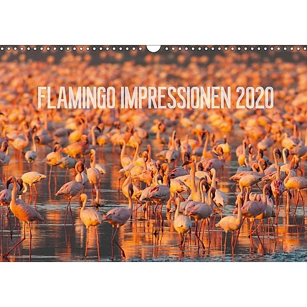 Flamingo Impressionen 2020 (Wandkalender 2020 DIN A3 quer), Ingo Gerlach