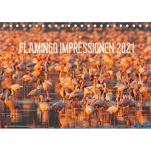 Flamingo Impressionen 2021 (Tischkalender 2021 DIN A5 quer), Ingo Gerlach