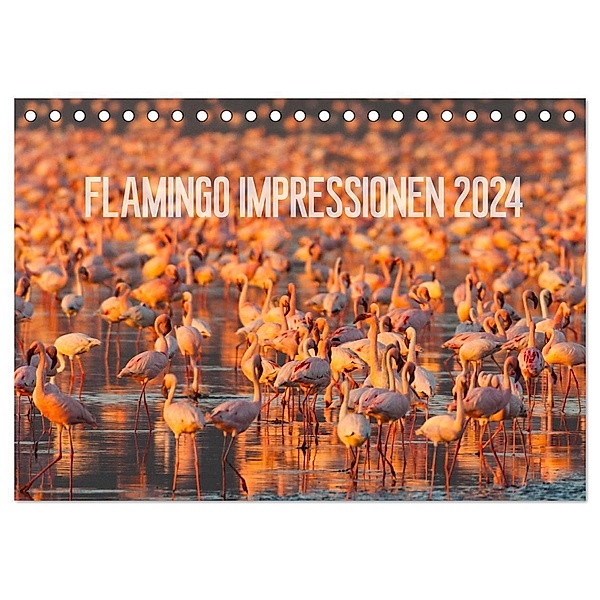 Flamingo Impressionen 2024 (Tischkalender 2024 DIN A5 quer), CALVENDO Monatskalender, Ingo Gerlach