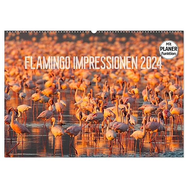 Flamingo Impressionen 2024 (Wandkalender 2024 DIN A2 quer), CALVENDO Monatskalender, Ingo Gerlach