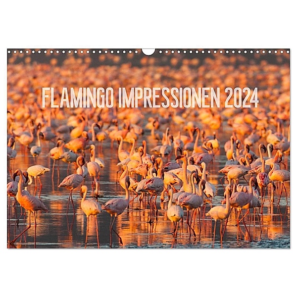 Flamingo Impressionen 2024 (Wandkalender 2024 DIN A3 quer), CALVENDO Monatskalender, Ingo Gerlach