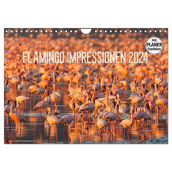 Flamingo Impressionen 2024 (Wandkalender 2024 DIN A4 quer), CALVENDO Monatskalender, Ingo Gerlach
