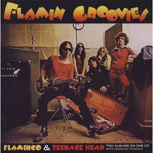 Flamingo/Teenage Head (Remastert & Expanded), Flamin' Groovies