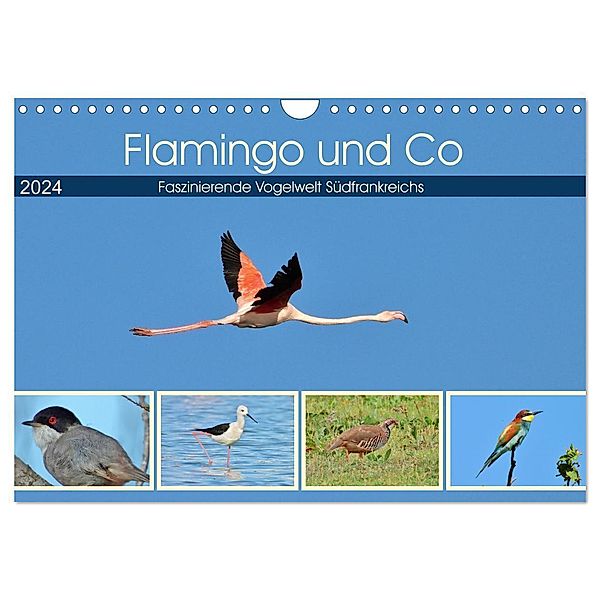 Flamingo und Co - Faszinierende Vogelwelt Südfrankreichs (Wandkalender 2024 DIN A4 quer), CALVENDO Monatskalender, René Schaack