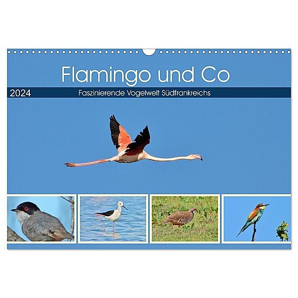 Flamingo und Co - Faszinierende Vogelwelt Südfrankreichs (Wandkalender 2024 DIN A3 quer), CALVENDO Monatskalender, René Schaack