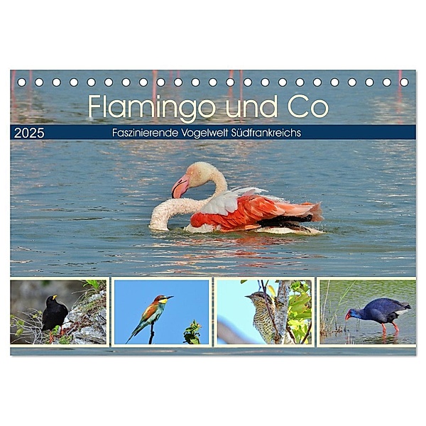Flamingo und Co - Faszinierende Vogelwelt Südfrankreichs (Tischkalender 2025 DIN A5 quer), CALVENDO Monatskalender, Calvendo, René Schaack