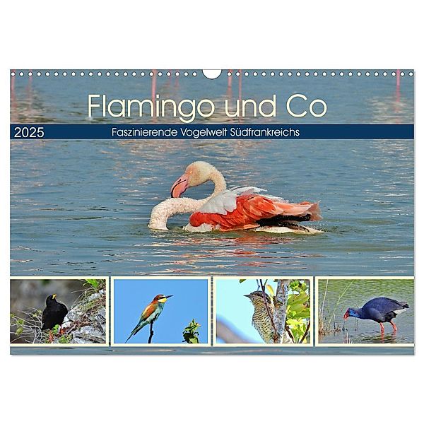 Flamingo und Co - Faszinierende Vogelwelt Südfrankreichs (Wandkalender 2025 DIN A3 quer), CALVENDO Monatskalender, Calvendo, René Schaack