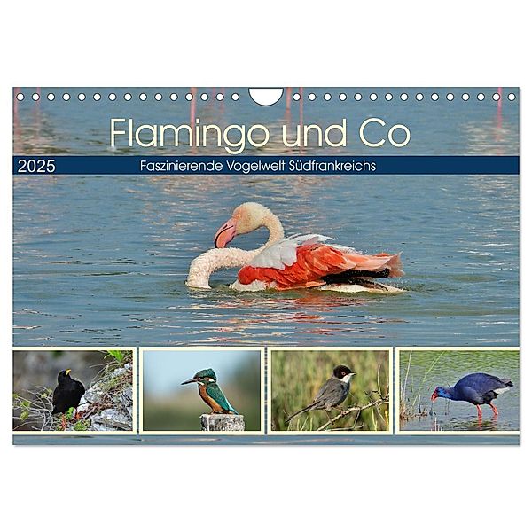 Flamingo und Co - Faszinierende Vogelwelt Südfrankreichs (Wandkalender 2025 DIN A4 quer), CALVENDO Monatskalender, Calvendo, René Schaack