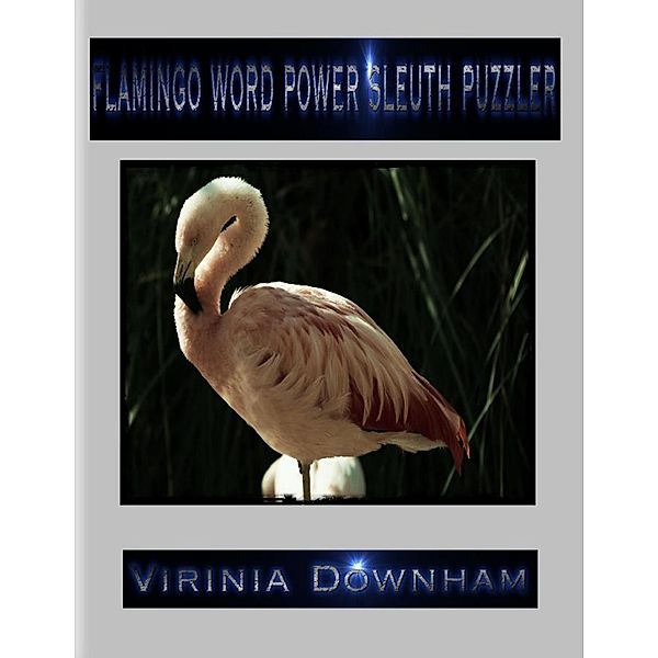 Flamingo Word Power Sleuth Puzzler, Virinia Downham