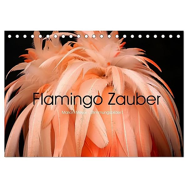 Flamingo Zauber (Tischkalender 2024 DIN A5 quer), CALVENDO Monatskalender, Marion Meyer - Stimmungsbilder1