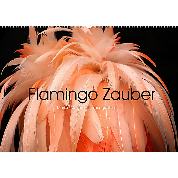 Flamingo Zauber (Wandkalender 2023 DIN A2 quer), Marion Meyer - Stimmungsbilder1
