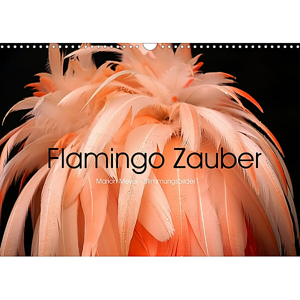 Flamingo Zauber (Wandkalender 2023 DIN A3 quer), Marion Meyer - Stimmungsbilder1