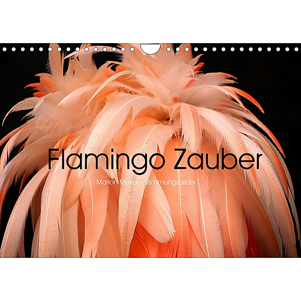 Flamingo Zauber (Wandkalender 2023 DIN A4 quer), Marion Meyer - Stimmungsbilder1