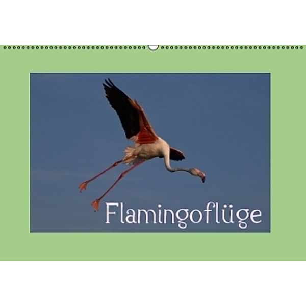 Flamingoflüge CH-Version (Wandkalender 2016 DIN A2 quer), Photo-Pirsch