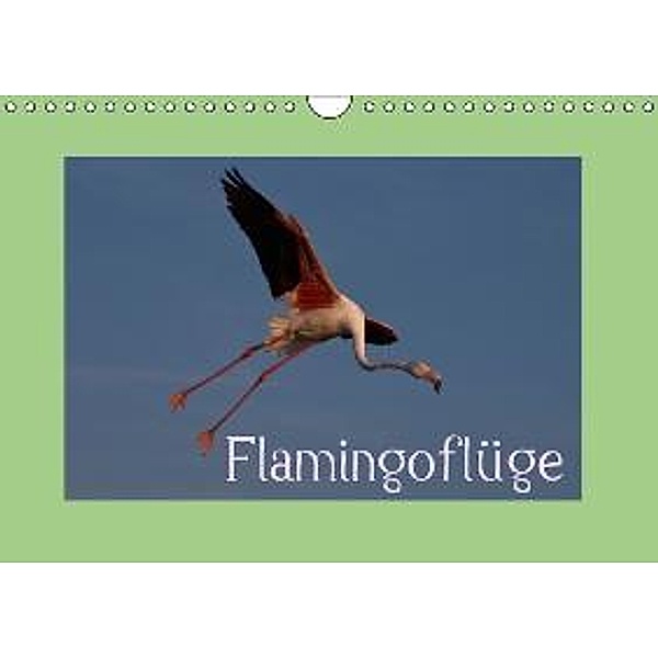 FlamingoflügeCH-Version (Wandkalender 2015 DIN A4 quer), Photo-Pirsch