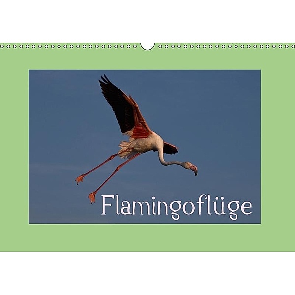 FlamingoflügeCH-Version (Wandkalender 2017 DIN A3 quer), Photo-Pirsch