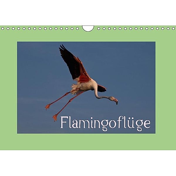 FlamingoflügeCH-Version (Wandkalender 2017 DIN A4 quer), Photo-Pirsch