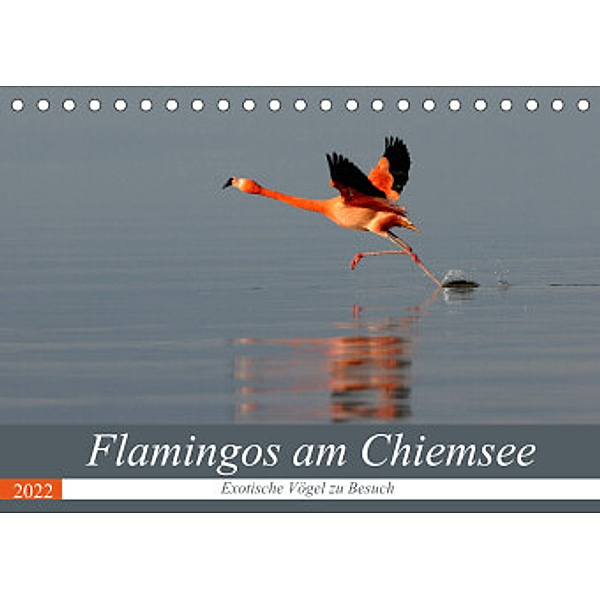 Flamingos am Chiemsee (Tischkalender 2022 DIN A5 quer), J. R. Bogner