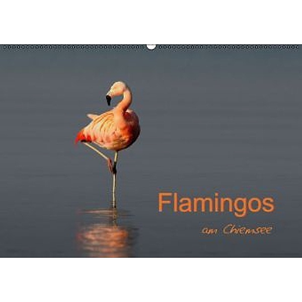 Flamingos am Chiemsee (Wandkalender 2016 DIN A2 quer), J. R. Bogner