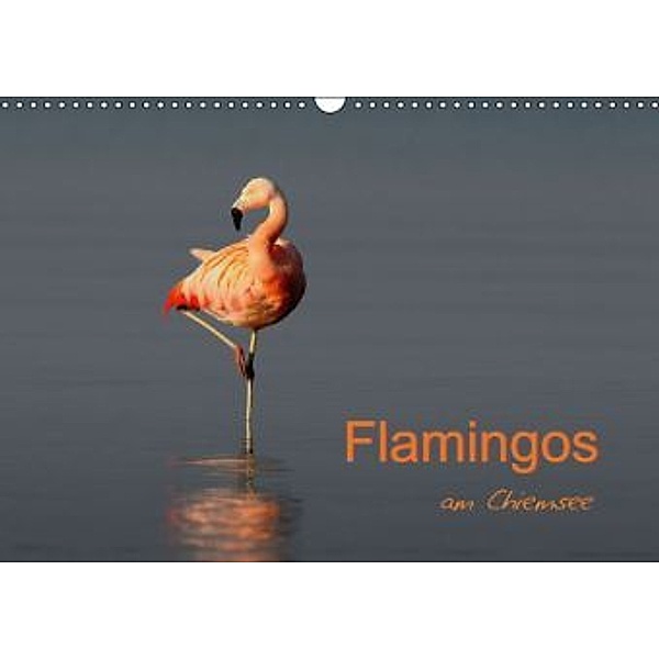 Flamingos am Chiemsee (Wandkalender 2016 DIN A3 quer), J. R. Bogner