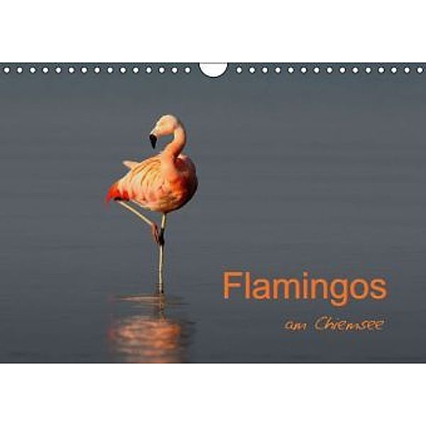 Flamingos am Chiemsee (Wandkalender 2016 DIN A4 quer), J. R. Bogner