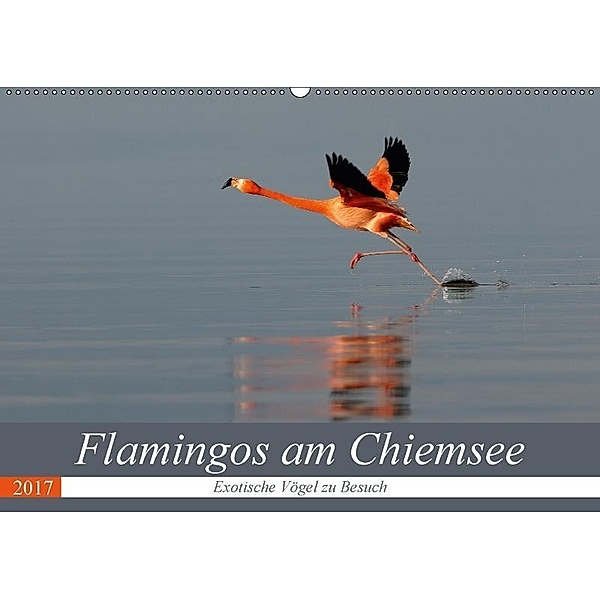 Flamingos am Chiemsee (Wandkalender 2017 DIN A2 quer), J. R. Bogner
