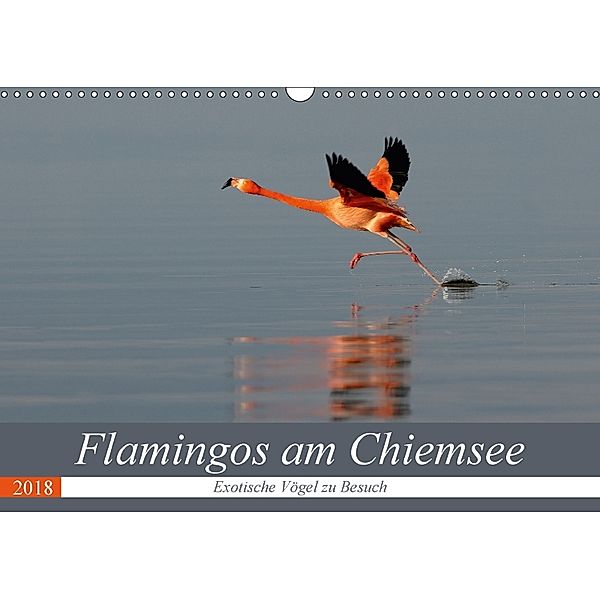 Flamingos am Chiemsee (Wandkalender 2018 DIN A3 quer), J. R. Bogner