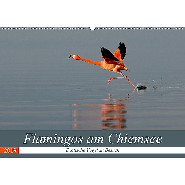 Flamingos am Chiemsee (Wandkalender 2019 DIN A2 quer), J. R. Bogner