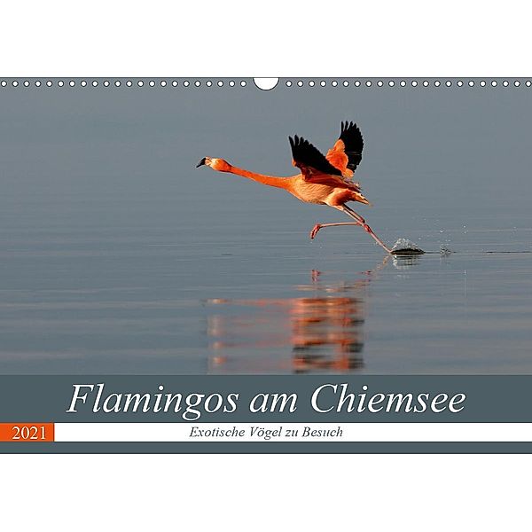 Flamingos am Chiemsee (Wandkalender 2021 DIN A3 quer), J. R. Bogner