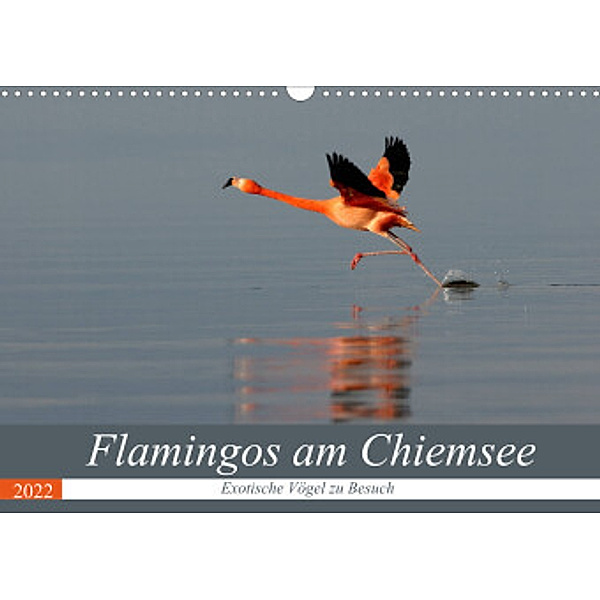 Flamingos am Chiemsee (Wandkalender 2022 DIN A3 quer), J. R. Bogner