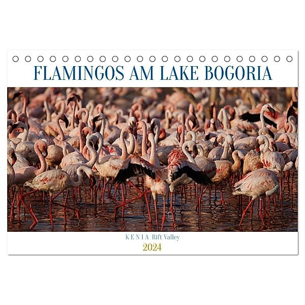 Flamingos am Lake Bogoria - Kenia (Tischkalender 2024 DIN A5 quer), CALVENDO Monatskalender, Udo Quentin