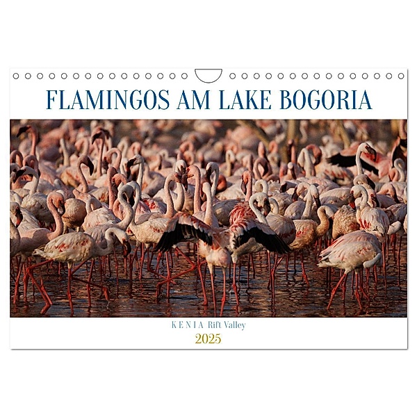 Flamingos am Lake Bogoria - Kenia (Wandkalender 2025 DIN A4 quer), CALVENDO Monatskalender, Calvendo, Udo Quentin