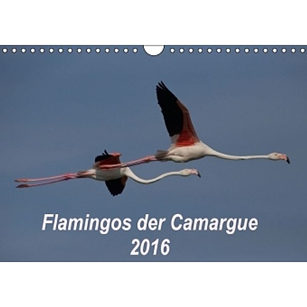 Flamingos der Camargue 2016 (Wandkalender 2016 DIN A4 quer), Photo-Pirsch