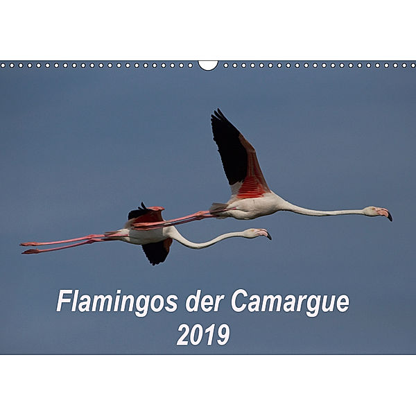 Flamingos der Camargue 2019 (Wandkalender 2019 DIN A3 quer), Photo-Pirsch