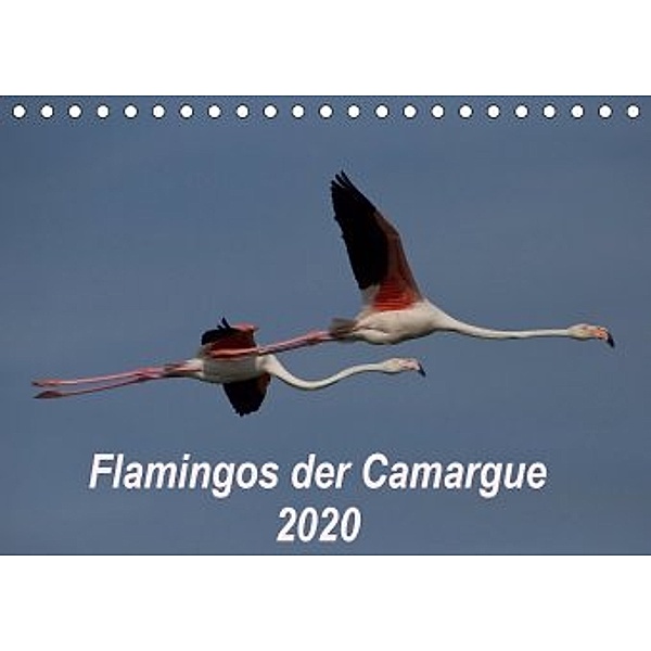 Flamingos der Camargue 2020 (Tischkalender 2020 DIN A5 quer)