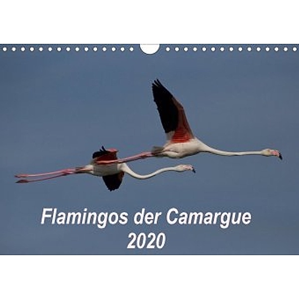 Flamingos der Camargue 2020 (Wandkalender 2020 DIN A4 quer)