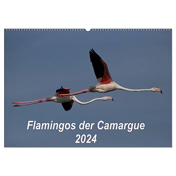 Flamingos der Camargue 2024 (Wandkalender 2024 DIN A2 quer), CALVENDO Monatskalender, Photo-Pirsch