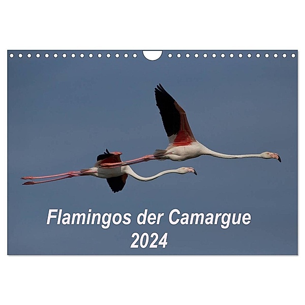 Flamingos der Camargue 2024 (Wandkalender 2024 DIN A4 quer), CALVENDO Monatskalender, Photo-Pirsch