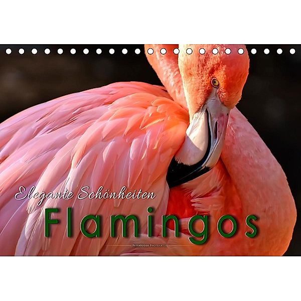 Flamingos - elegante Schönheiten (Tischkalender 2020 DIN A5 quer), Peter Roder