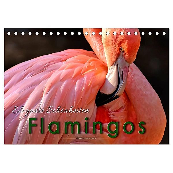 Flamingos - elegante Schönheiten (Tischkalender 2024 DIN A5 quer), CALVENDO Monatskalender, Peter Roder