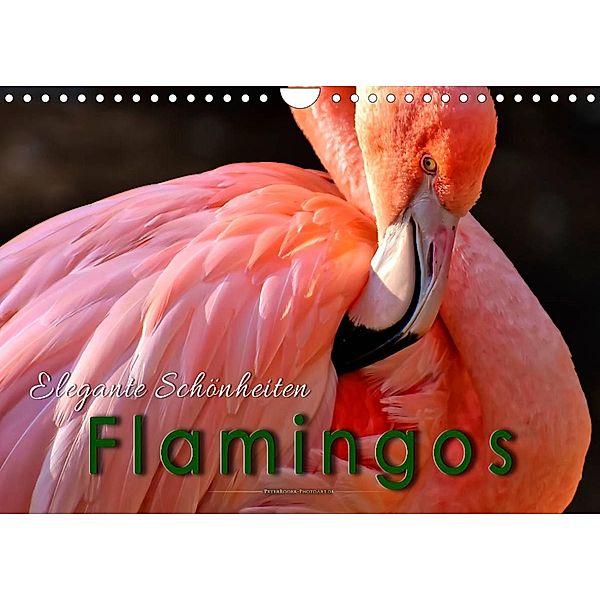 Flamingos - elegante Schönheiten (Wandkalender 2022 DIN A4 quer), Peter Roder
