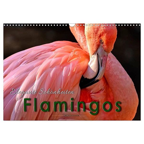 Flamingos - elegante Schönheiten (Wandkalender 2024 DIN A3 quer), CALVENDO Monatskalender, Peter Roder
