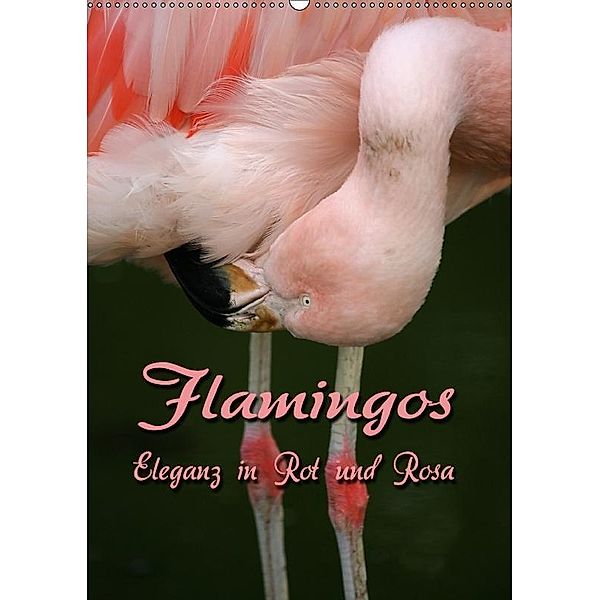 Flamingos - Eleganz in Rot und Rosa (Wandkalender 2017 DIN A2 hoch), Martina Berg