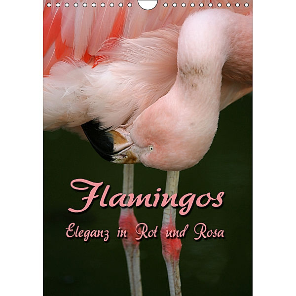 Flamingos - Eleganz in Rot und Rosa (Wandkalender 2019 DIN A4 hoch), Martina Berg