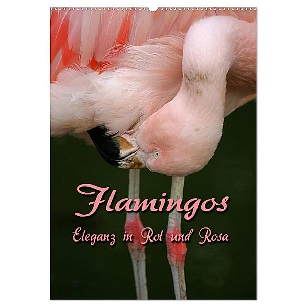 Flamingos - Eleganz in Rot und Rosa (Wandkalender 2024 DIN A2 hoch), CALVENDO Monatskalender, Martina Berg