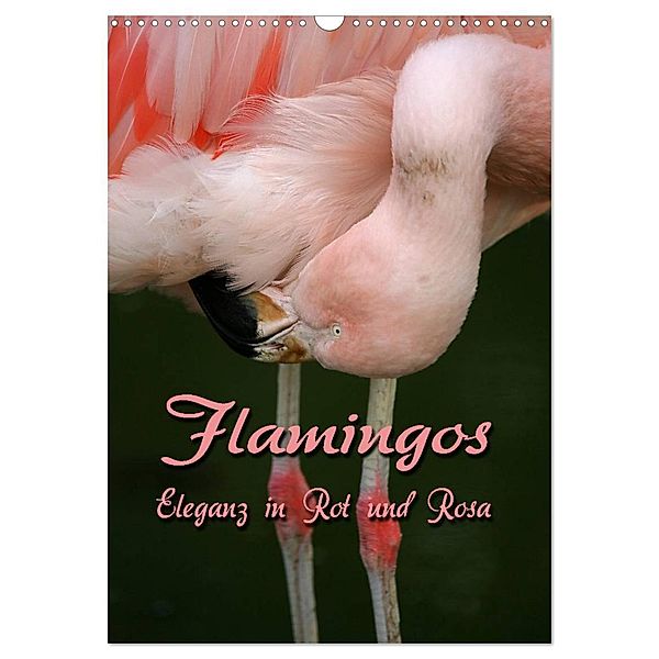 Flamingos - Eleganz in Rot und Rosa (Wandkalender 2025 DIN A3 hoch), CALVENDO Monatskalender, Calvendo, Martina Berg
