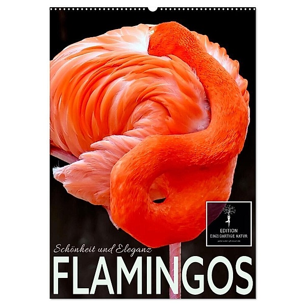 Flamingos - Eleganz und Schönheit (Wandkalender 2024 DIN A2 hoch), CALVENDO Monatskalender, Peter Roder
