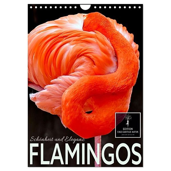 Flamingos - Eleganz und Schönheit (Wandkalender 2025 DIN A4 hoch), CALVENDO Monatskalender, Calvendo, Peter Roder